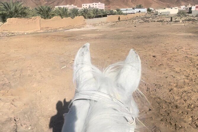 1 Hour Private Horse Riding in Madinah - The Stables Location: How to Avoid the Usual Getting-There Headaches
