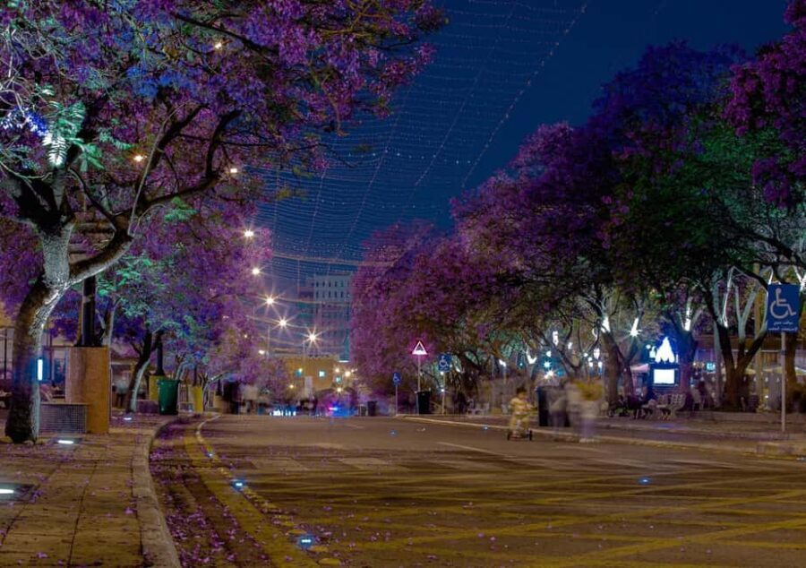 Abha City Tour & Rijal Almaa - Should You Book Abha City Tour & Rijal Almaa?