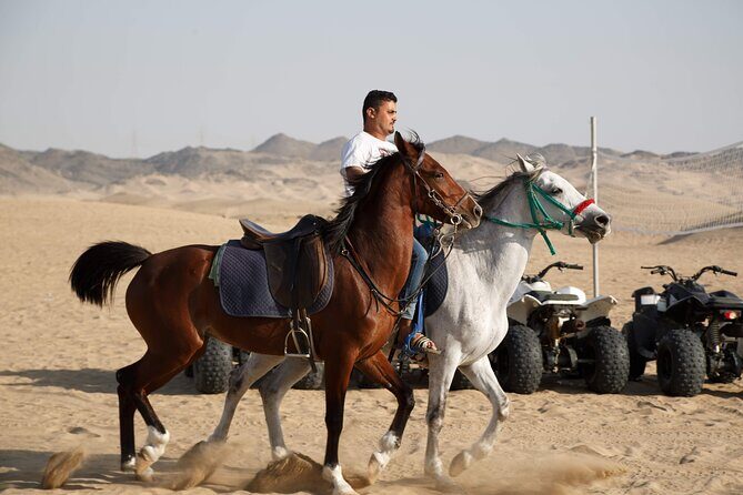 Desert Safari with Quad Bike Tours Jeddah - Bahrah camel farm stop: a short cultural break from sand