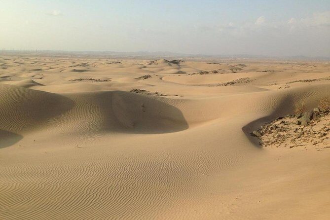 Dune Bashing Desert Safari Trip - The Camp Block: Snacks, Dinner, and Group Energy