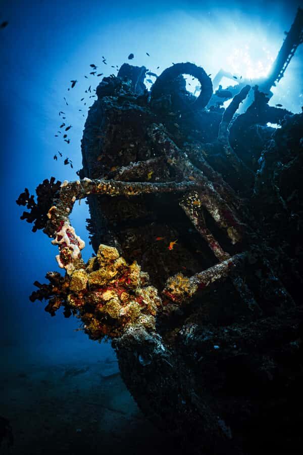 From Jeddah: Boat Trip and Diving for Certified Divers - Group size and who you’ll share the boat with