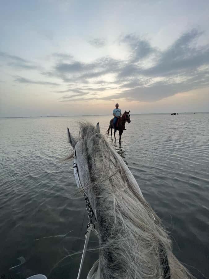 Jeddah: Guided Horseback Ride - Beginner-Friendly Pace vs. Trot and Canter for Skilled Riders