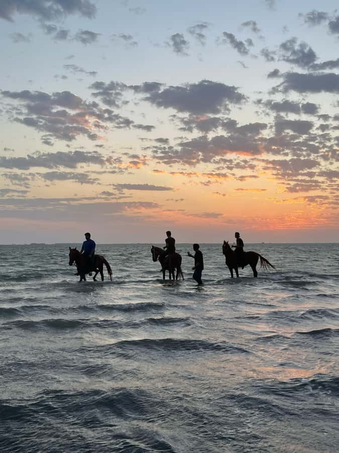 Jeddah: Guided Horseback Ride - Getting to the Stables: Why Timing and Transport Matter