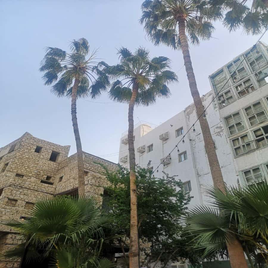 Jeddah: Historic District Tour by a Local licensed Guide - Price and value: what $139 buys you in Al-Balad