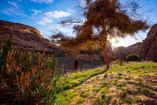 Journey Through Time Hike - Journey Through Time Hike in AlUla: what you’re really signing up for