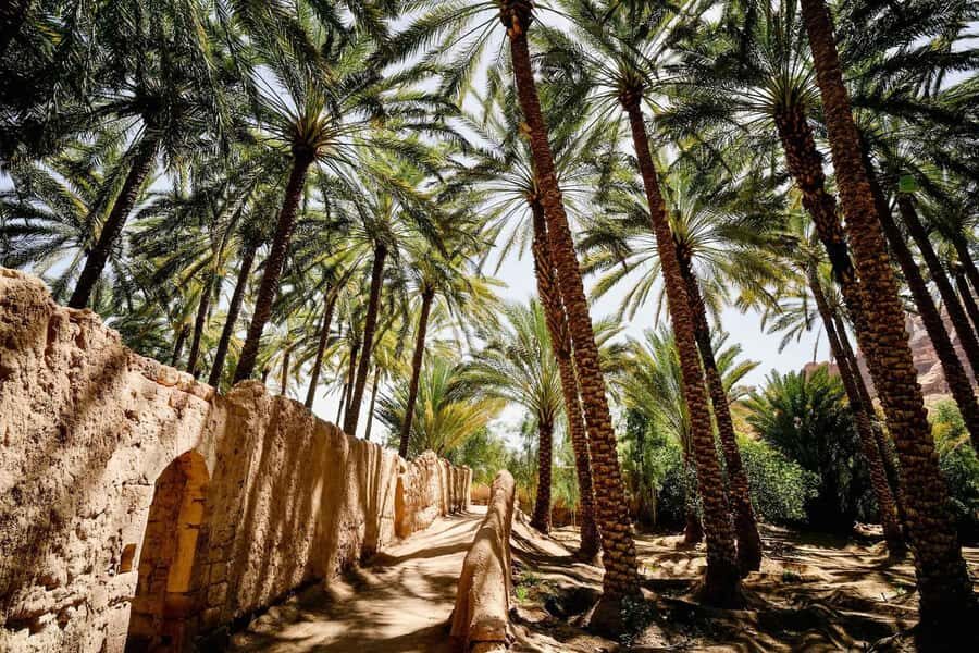 Oasis Adventure in Alula - Heart of the Oasis meet-up at مطعم قلب الواحة