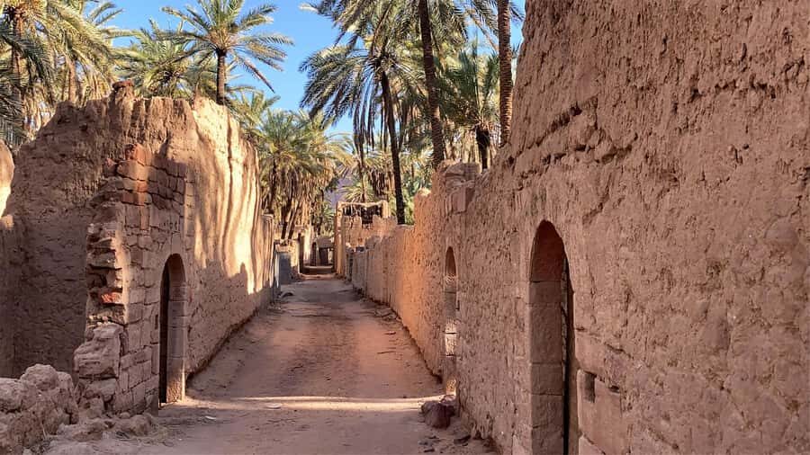 Oasis Adventure in Alula - Guide storytelling in English or Arabic: how the best tours feel