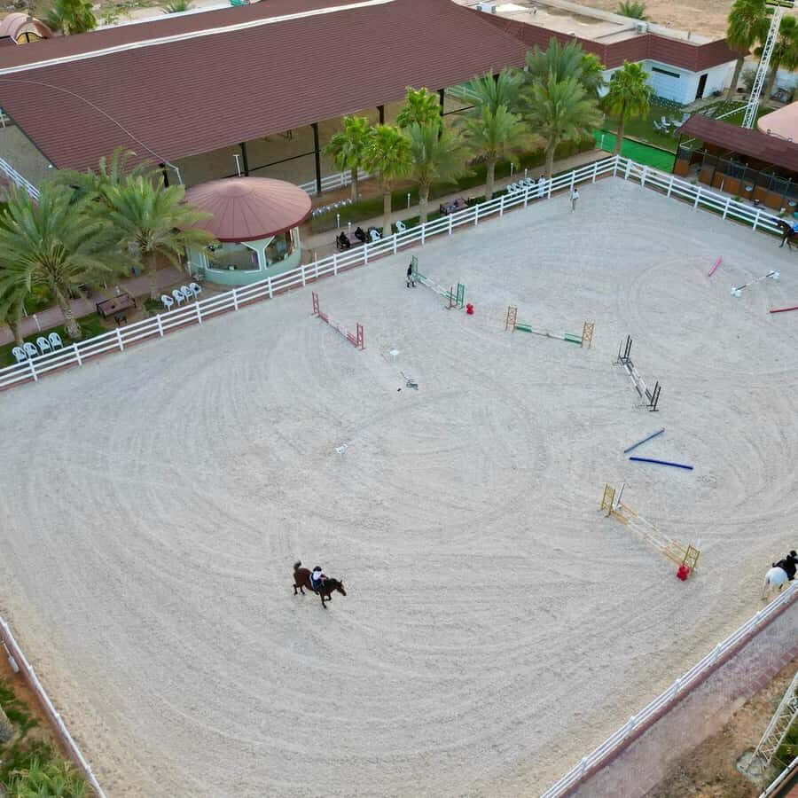 Riyadh: Arabian Horse Riding Experience - Key highlights that matter before you go