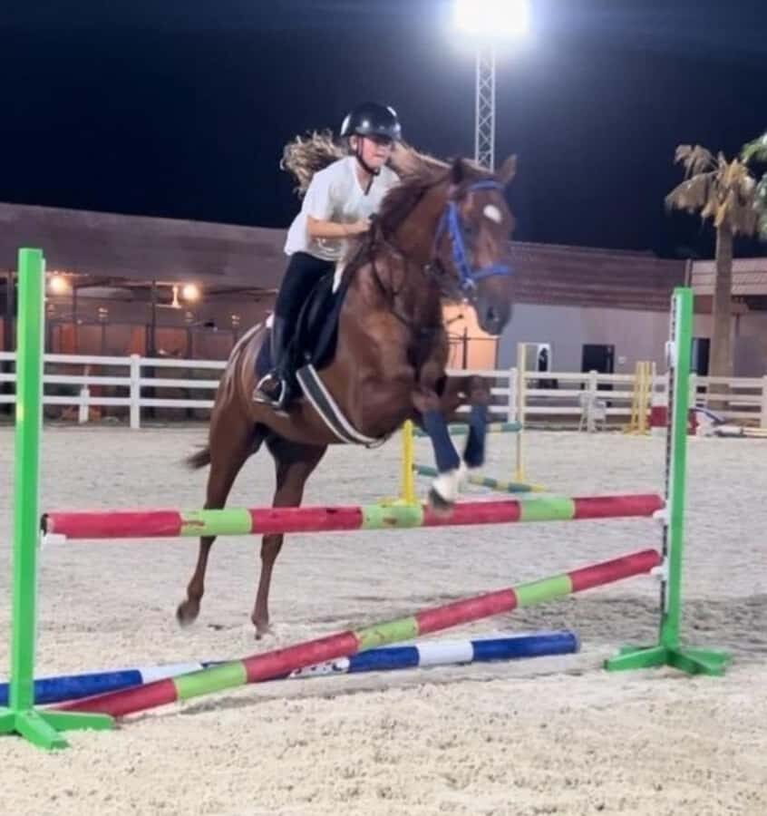 Riyadh: Arabian Horse Riding Experience - Where the 1-hour ride really starts: Medhal Equestrian Centre