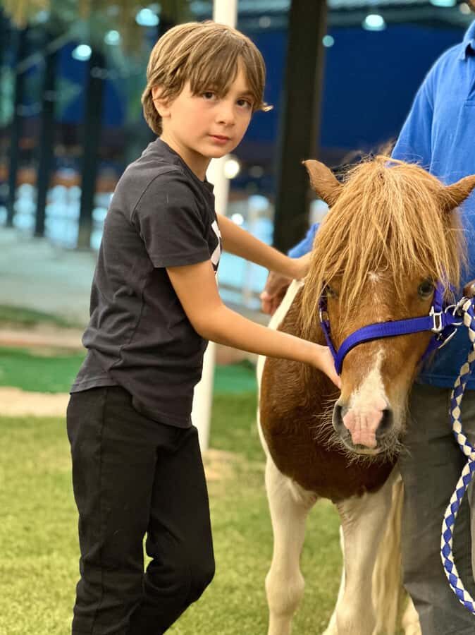 Riyadh: Arabian Horse Riding Experience - Instructor support in English, Arabic, Urdu, and Hindi