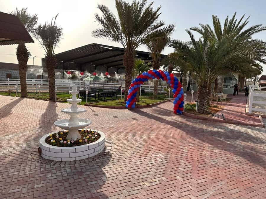 Riyadh: Arabian Horse Riding Experience - Riding multiple horse breeds without feeling lost