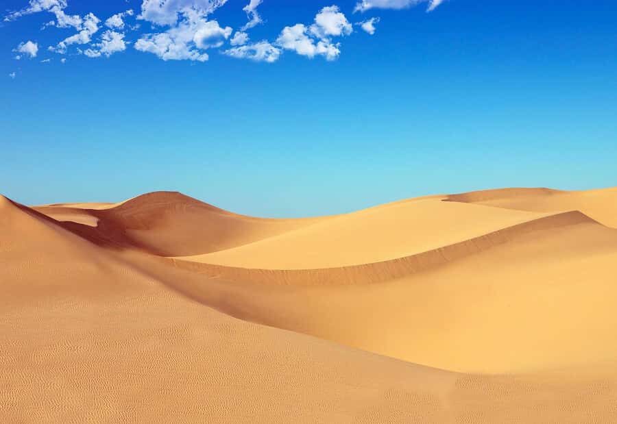 Riyadh: Sand Dunes Desert Safari, Quad Bike, Camel Ride - Key things I’d plan around