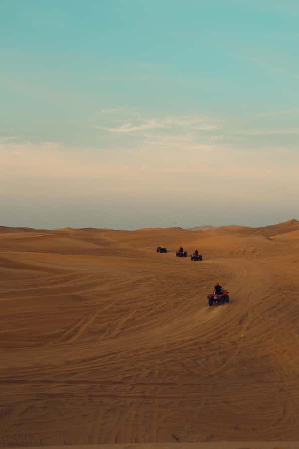 Riyadh: Sand Dunes Desert Safari, Quad Bike, Camel Ride - The quad bike highlight: 30 minutes on red dunes
